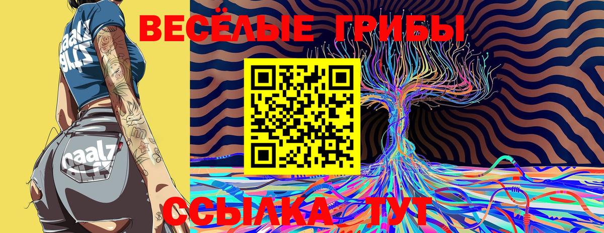 Галлюциногенные грибы прущие грибы  Вход с VPN  Ростов Великий 